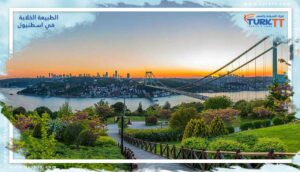 Read more about the article الطبيعة الخلابة في اسطنبول