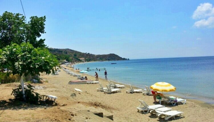 جزيرة الجميز كوف أفسا