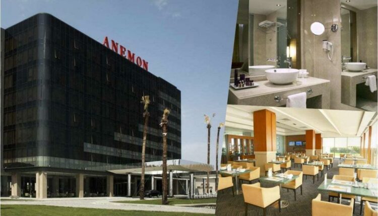 شقائق النعمان دنيزلي