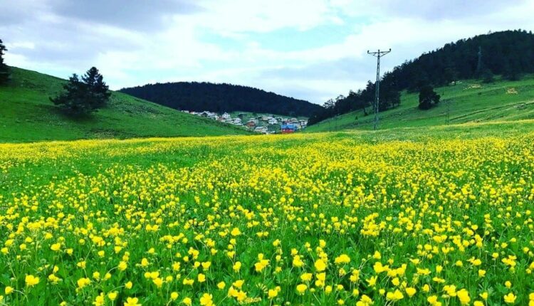 Eğriçimen Yaylası