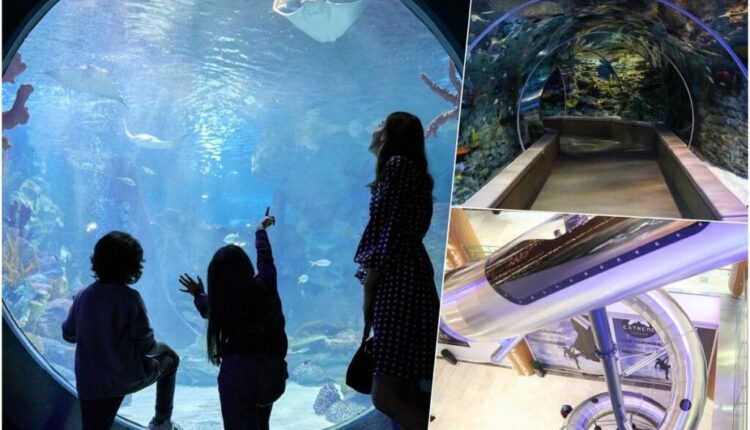 Bayrampaşa Sea Life Akvaryum