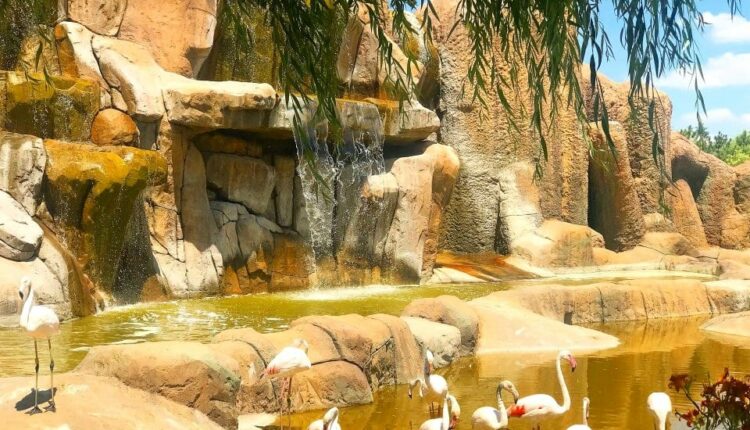 أوقات زيارة حديقة حيوان اسكي شهير