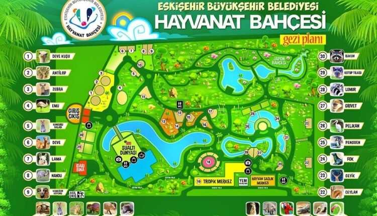 رسم حديقة الحيوان