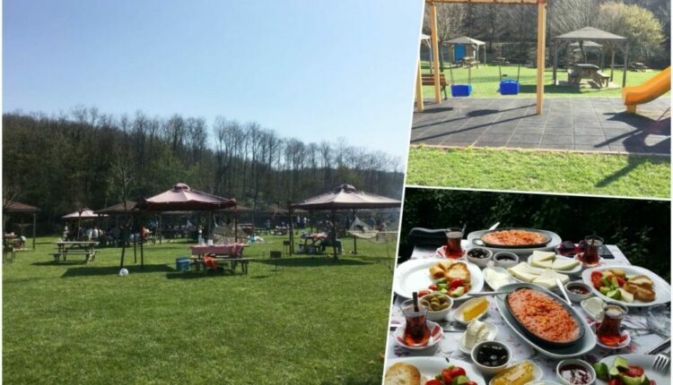 حديقة بولونيزكوي الطبيعة