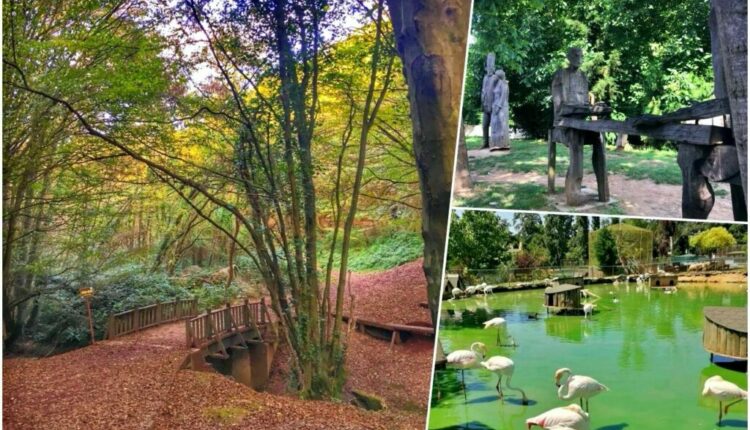 منتزه بولونيزكوي الطبيعي