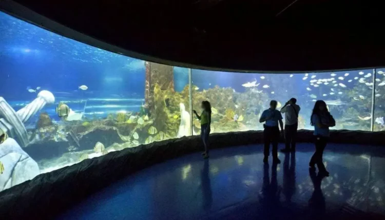 غرفة المحيط في Bayrampaşa Sea Life Aquarium