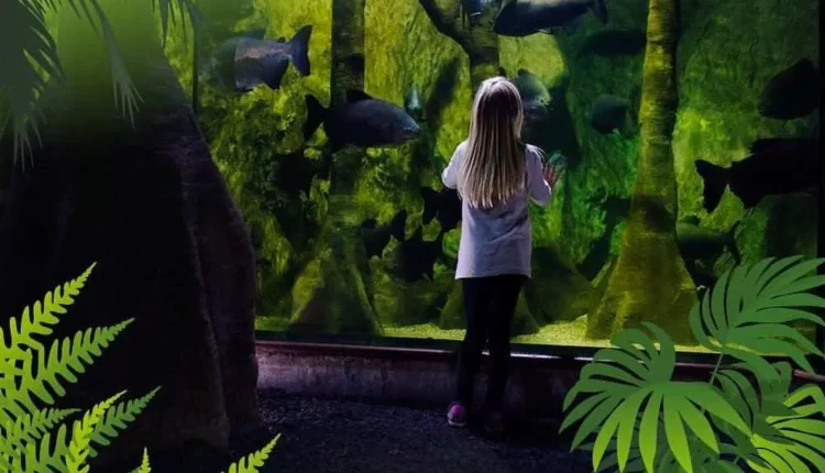 Bayrampaşa Sea Life Aquarium Rainforest