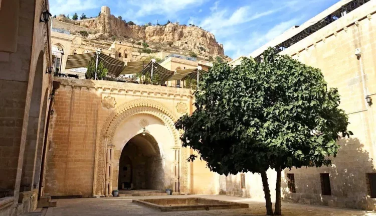 مدرسة شهيدية