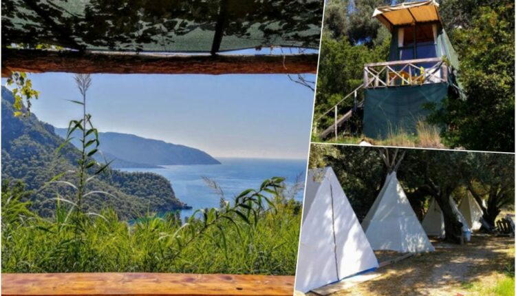 Shiva Camp