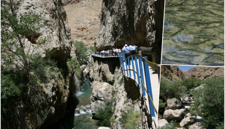 Gürün Şuğul Vadisi