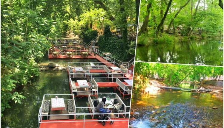 Yiğitler Piknik Alanı