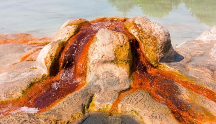 المياه في ينابيع كاراهايت