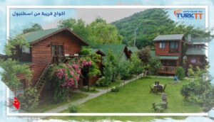 Read more about the article اكواخ قريبة من اسطنبول