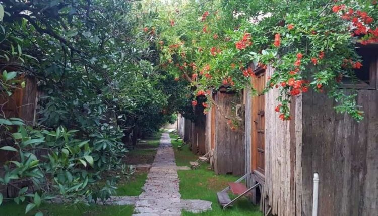 سكن اوليمبوس