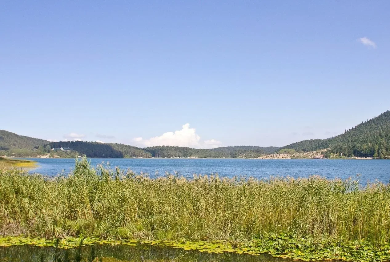 منتزه ابانت ليك الطبيعي