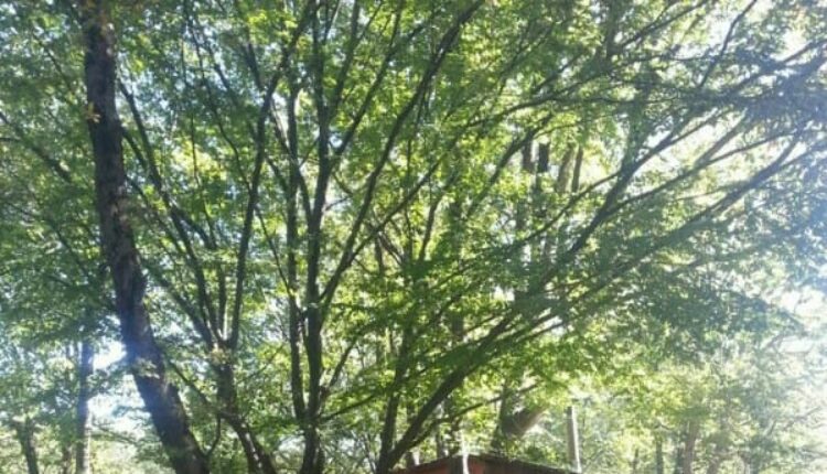 قرية شيلا أكشاكيسي