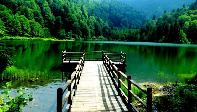 المناظر الطبيعية بوركا كاراجول