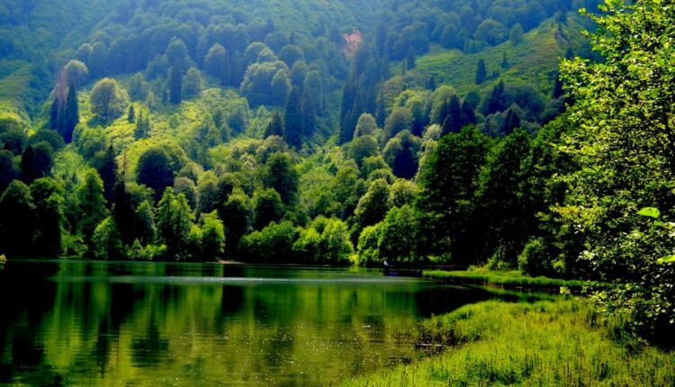 رسوم التخييم والدخول