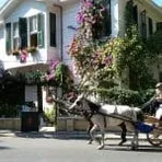 جزيرة بويوكادا بالصور