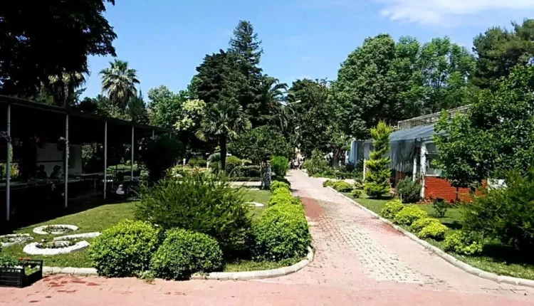 حديقة جامعة إيجي النباتية