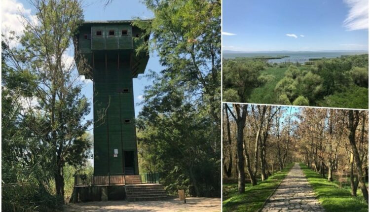 بحيرة منياس Manyas Gölü