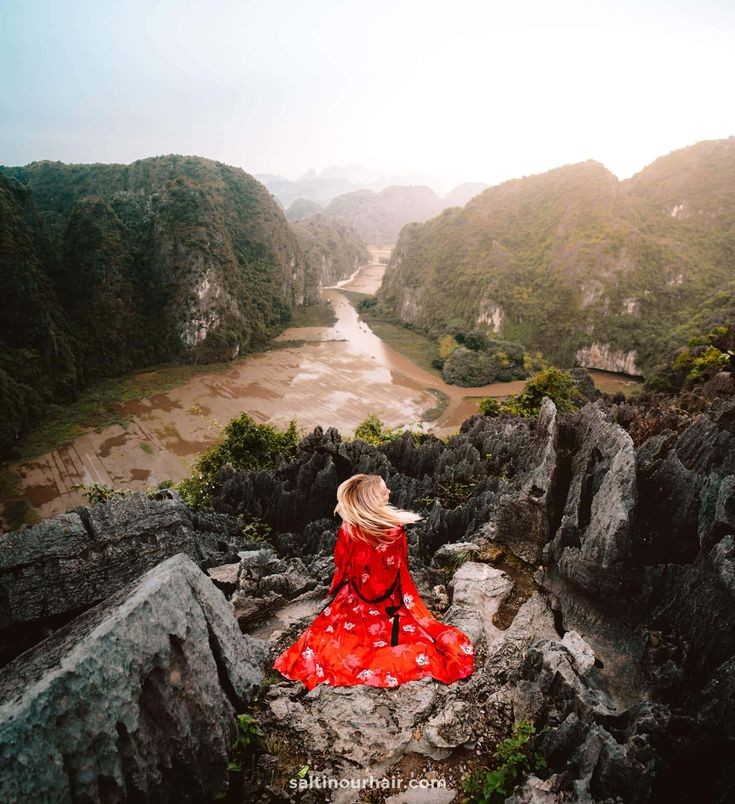 تأمينات السفر لعام 2022