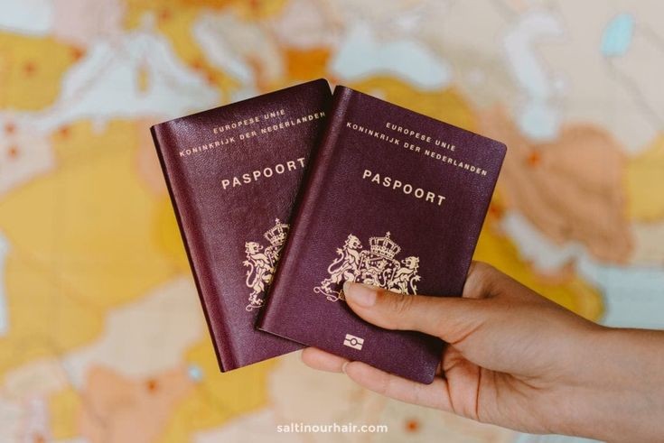 تأمينات السفر لعام 2022