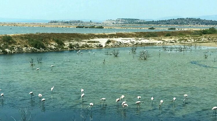 Bird Paradise، أماكن للزيارة في إزمير