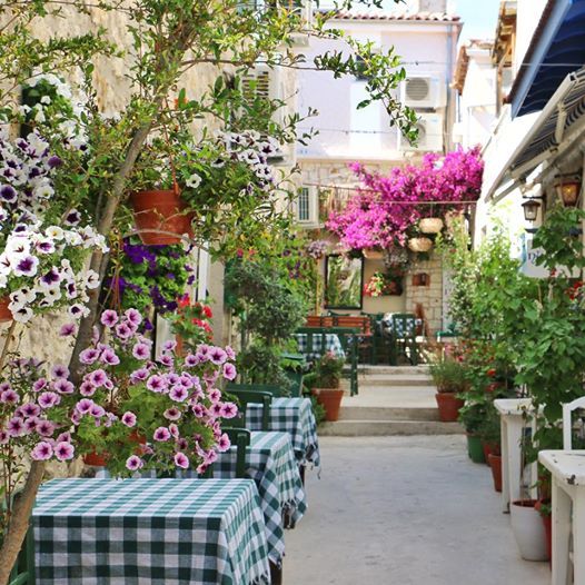 أنشطة في ألاتشاتي: