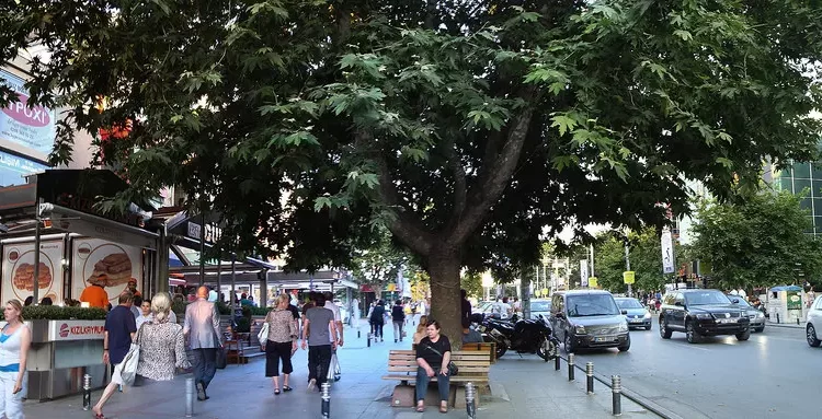 بوستانجي، ساسكينباكال، كاديبوستان