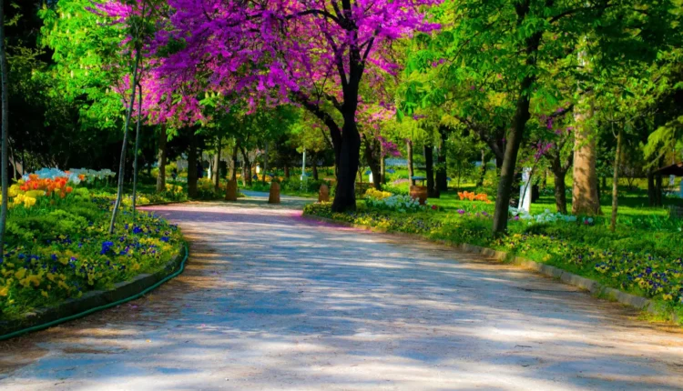 حديقة فنربخشة