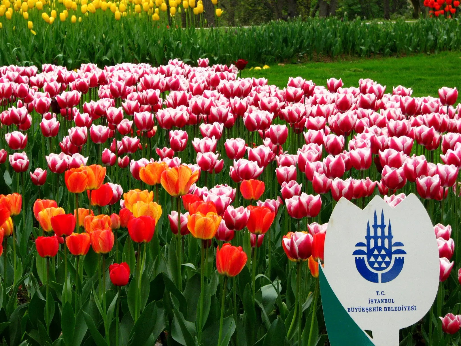 زيارة اسطنبول في ربيع 2022