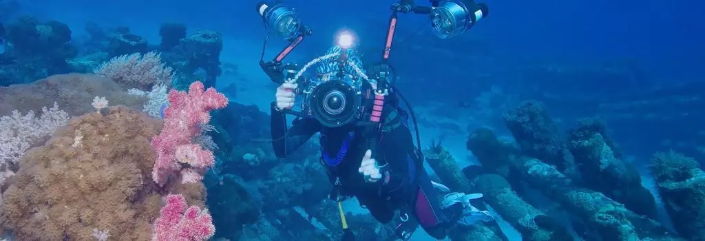 تجربة الغوص في أكواريوم اسطنبول