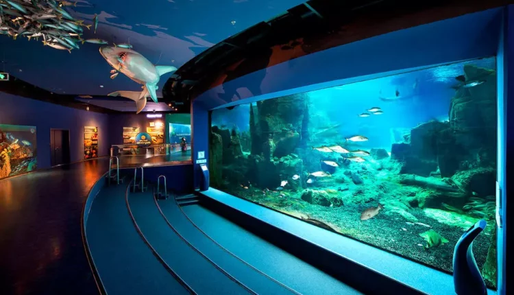 اكواريوم اسطنبول