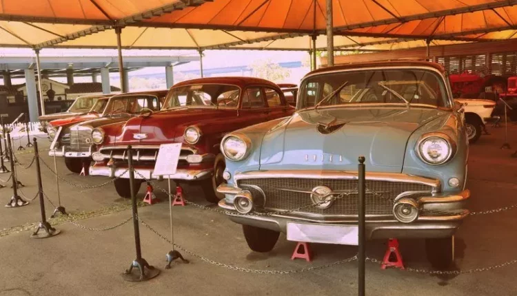 متحف كوج في هاسكوي