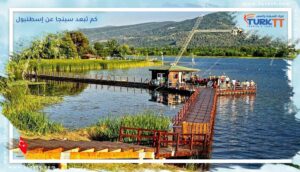 Read more about the article كم تبعد سبنجا عن إسطنبول