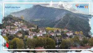 Read more about the article مدينة بولو التركية