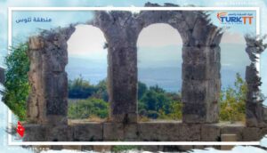 Read more about the article منطقة تلوس: موطن الحصان المجنح، بيغاسوس