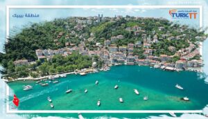 Read more about the article تعرف معنا على أجمل الأنشطة في منطقة بيبيك