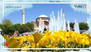 Read more about the article ماذا تفعل في الربيع في اسطنبول؟