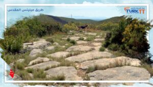 Read more about the article السير في طريق ميليتس المقدس