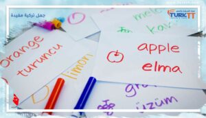 Read more about the article جمل تركية مفيدة للأجانب!