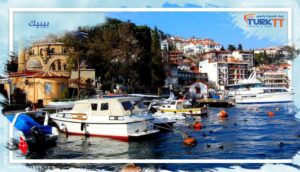 Read more about the article دليل شامل حول بيبيك، واحدة من أرقى مناطق اسطنبول 2023