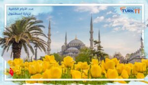 Read more about the article كم عدد الأيام الكافية لزيارة اسطنبول؟