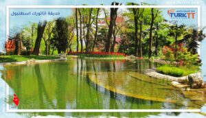 Read more about the article دليل السفر الكامل إلى حديقة اتاتورك اسطنبول Florya Atatürk Forest