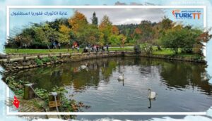 Read more about the article زيارة غابة اتاتورك فلوريا اسطنبول Florya Atatürk Forest