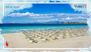 Read more about the article أرض البحار اللازوردية: ليمريك في تركيا