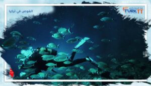 Read more about the article أفضل مواقع الغوص في تركيا