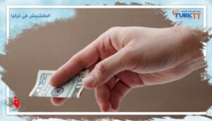 Read more about the article البقشيش في تركيا: كيف وكم يتم دفعه