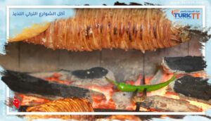 Read more about the article دليل أكل الشوارع التركي اللذيذ